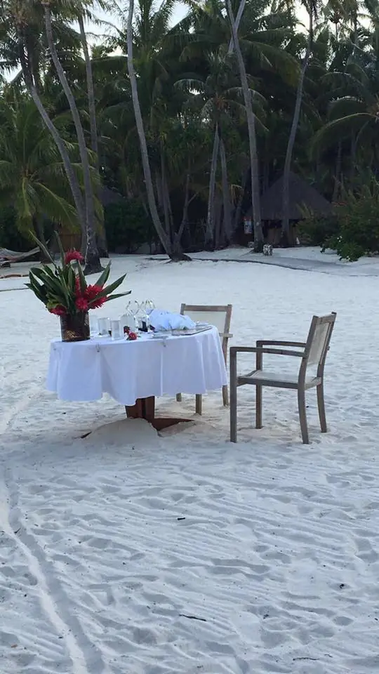 MOST AMAZING HONEYMOON