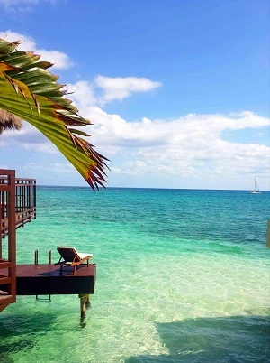 AMAZING HONEYMOON