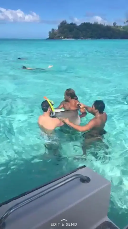 MOST AMAZING HONEYMOON