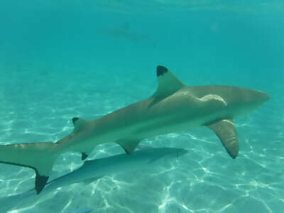 Amazing Vacation!