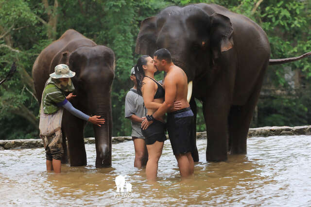 Absolutely Incredible Honeymoon