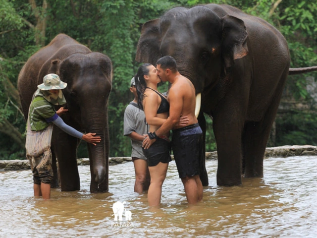 Absolutely Incredible Honeymoon