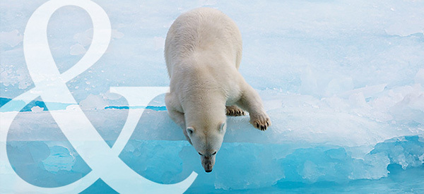 Don't Want to Miss Abercrombie & Kent’s Incredible Arctic Cruise