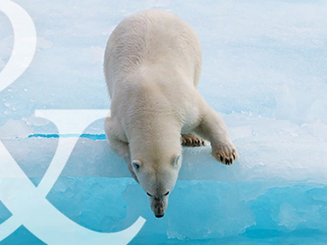 Don't Want to Miss Abercrombie & Kent’s Incredible Arctic Cruise