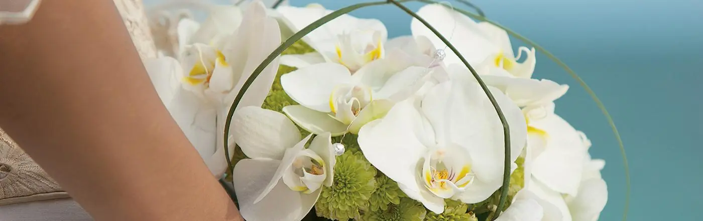 Now Garden Punta Cana