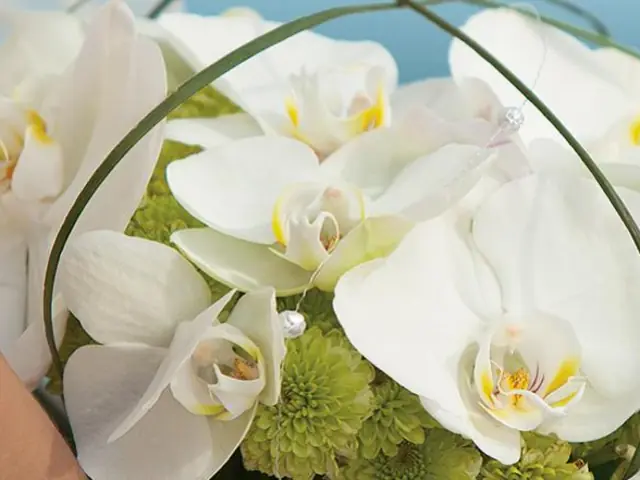 Now Garden Punta Cana