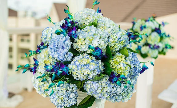 The Royal Playa del Carmen