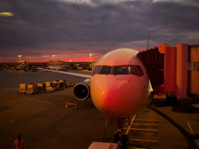 5 Reasons Travel Insurance Is Important