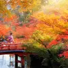 7 Days Traditional and Modern Japan
