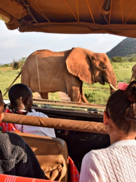 UNIGLOBE Exclusive - Family Safari