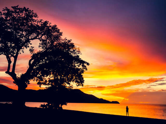 Pure Costa Rica. Pure magic. Pura vida.