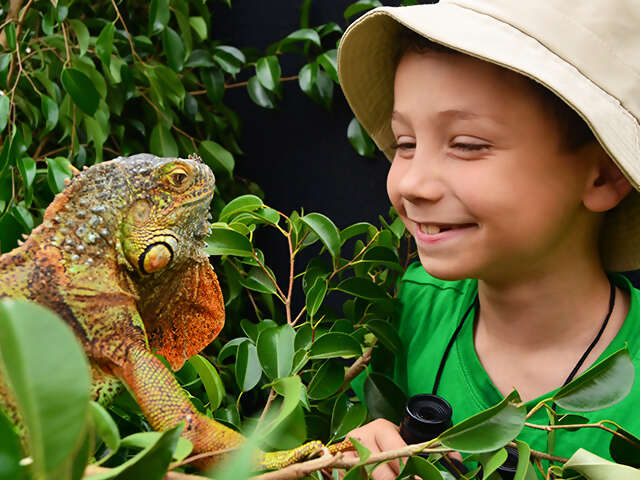 Top 5 Places to Experience Wildlife with Kids