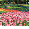 The Netherlands