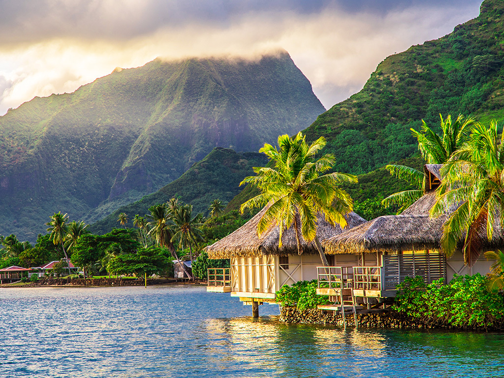 Moorea Escape on Sale