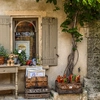 Provence: A Feast for the Soul