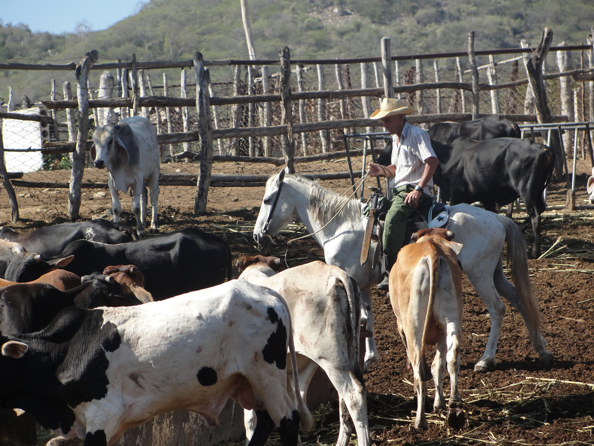 Why Travel Beyond Cuba’s Beaches?