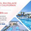 Los Cabos International Airport