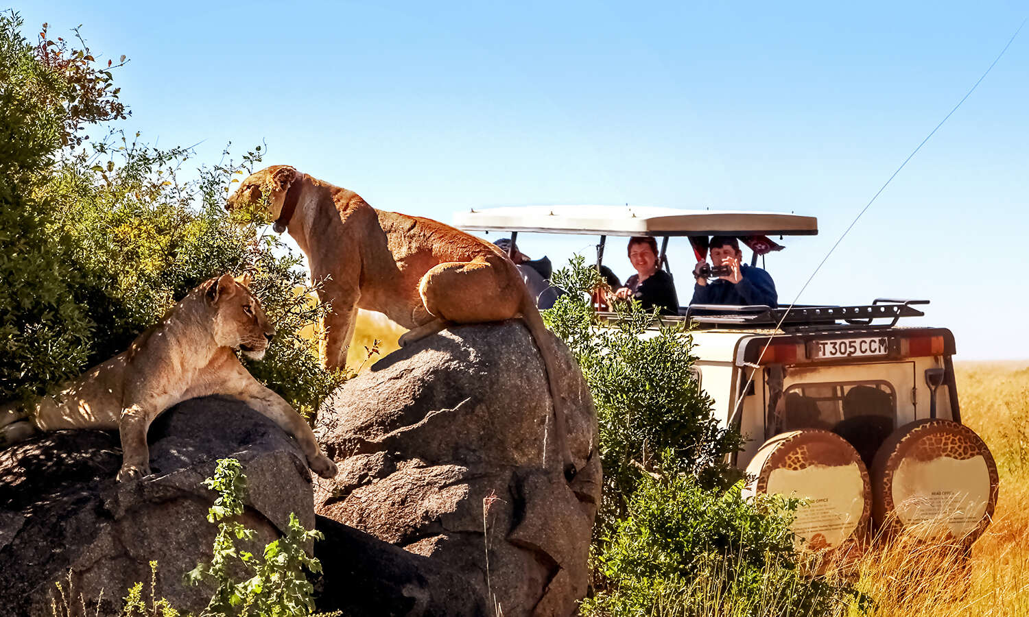 Active & Adventure Experiences