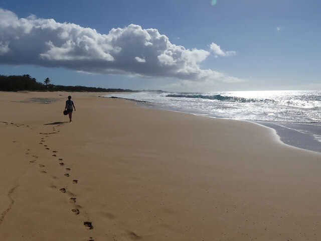 Magical Moloka’i: The Hawaii You Never Knew