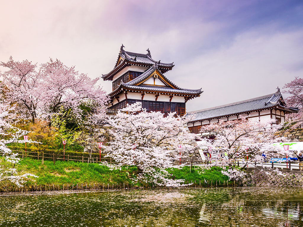 Festivals in Japan: A Journey Through Tradition and Celebration