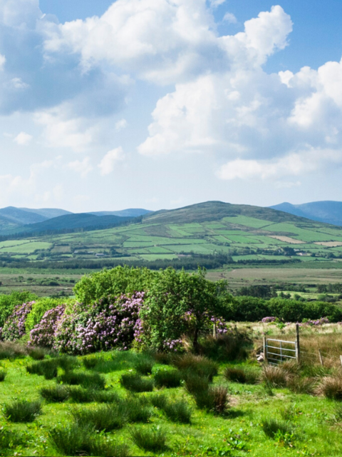 Ireland Tours For Every Season