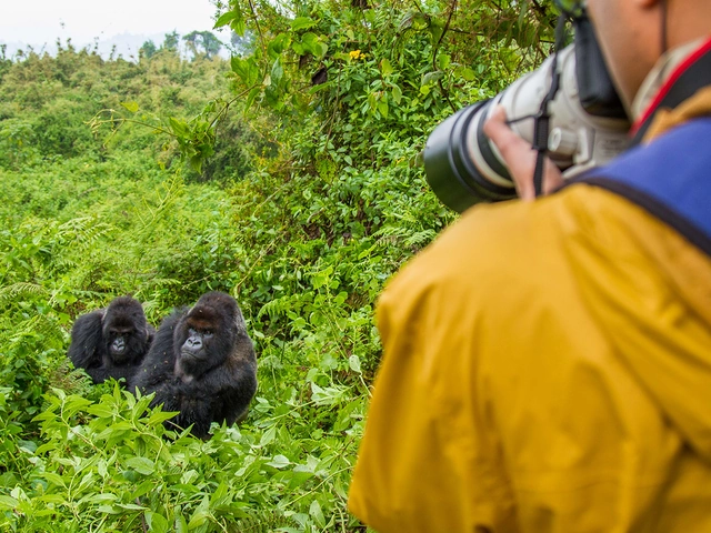 Uganda