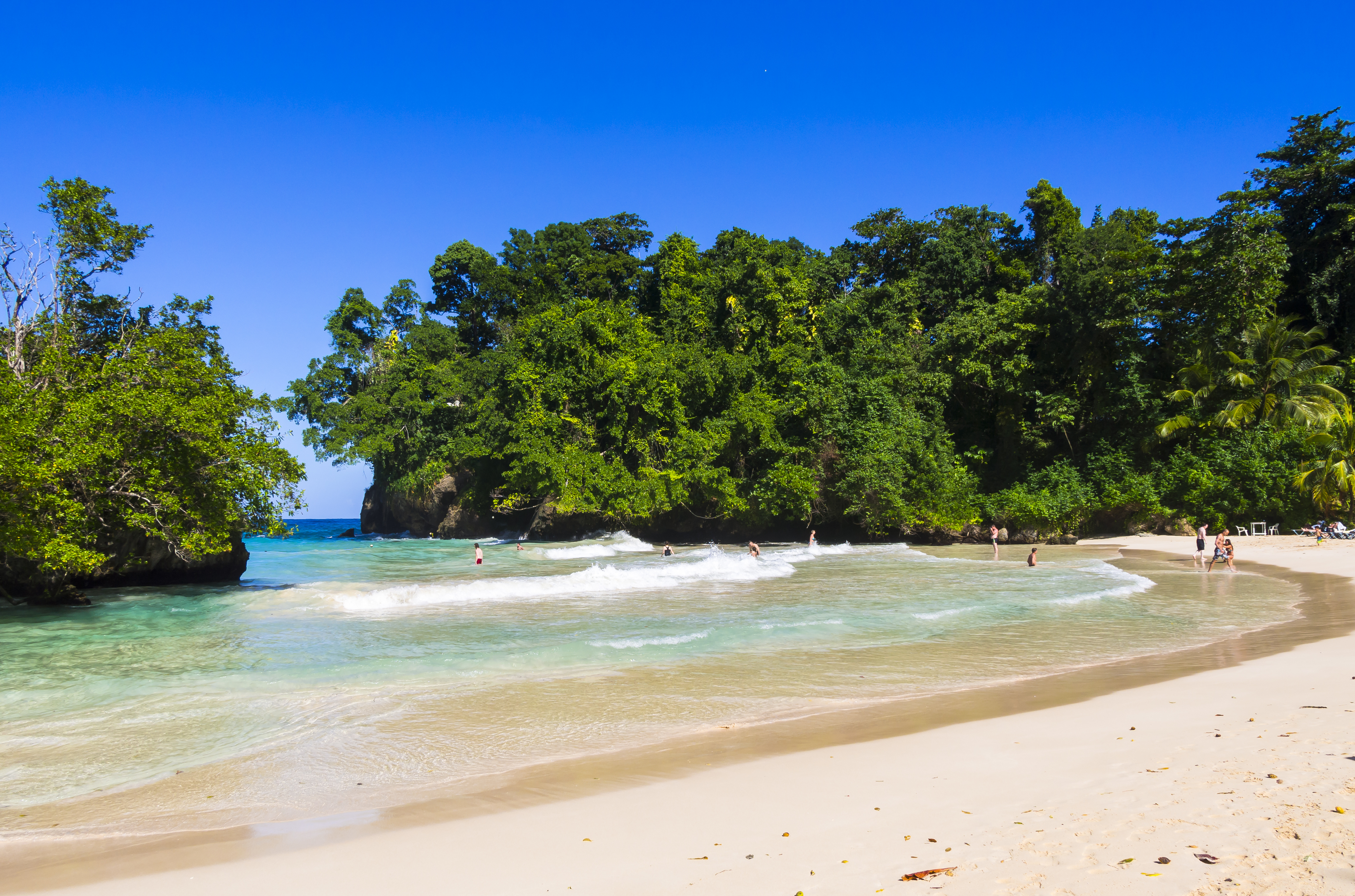 WHY JAMAICA?