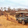 A Safari with Significance
