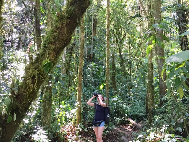 Amazing Cloud Forests To Visit In Central & South America