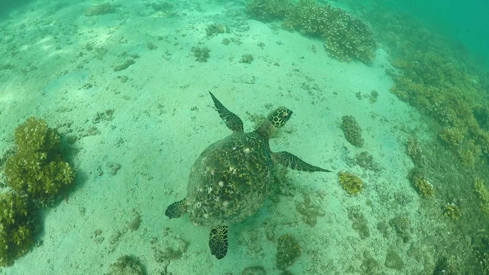 Explore Coiba National Park In Panama