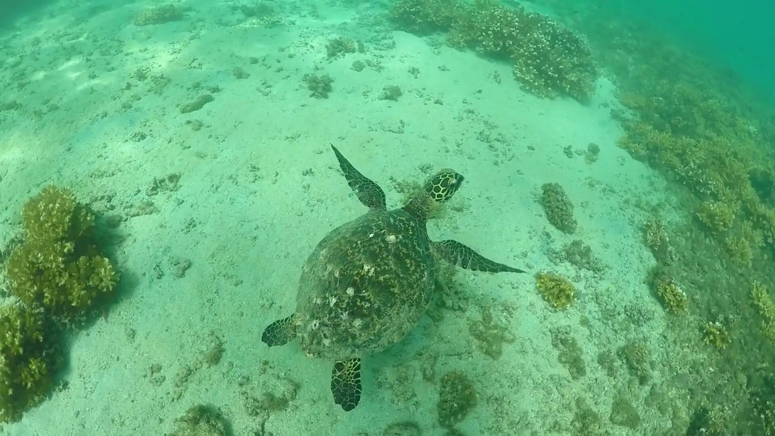 Explore Coiba National Park In Panama