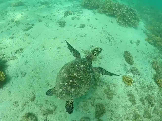 Explore Coiba National Park In Panama