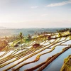 Bali Yoga & Spiritual Encounter