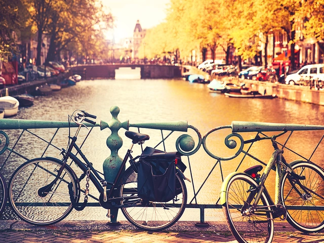 Tailor Made Experiences