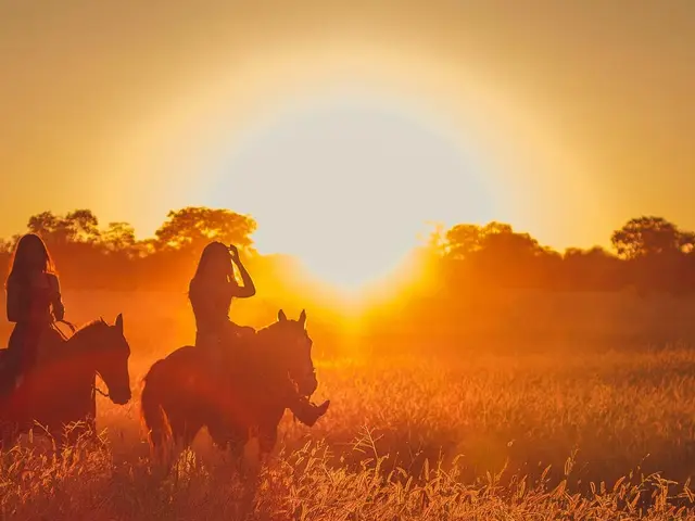 Where to go for an Authentic Texas Cowboy Experience