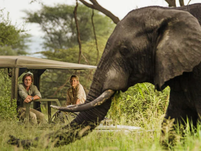 African Travel - Find Your Next Big Adventure