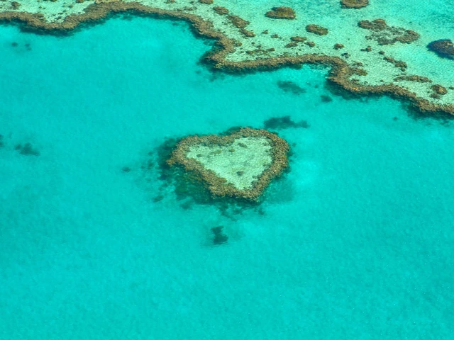 Banner3