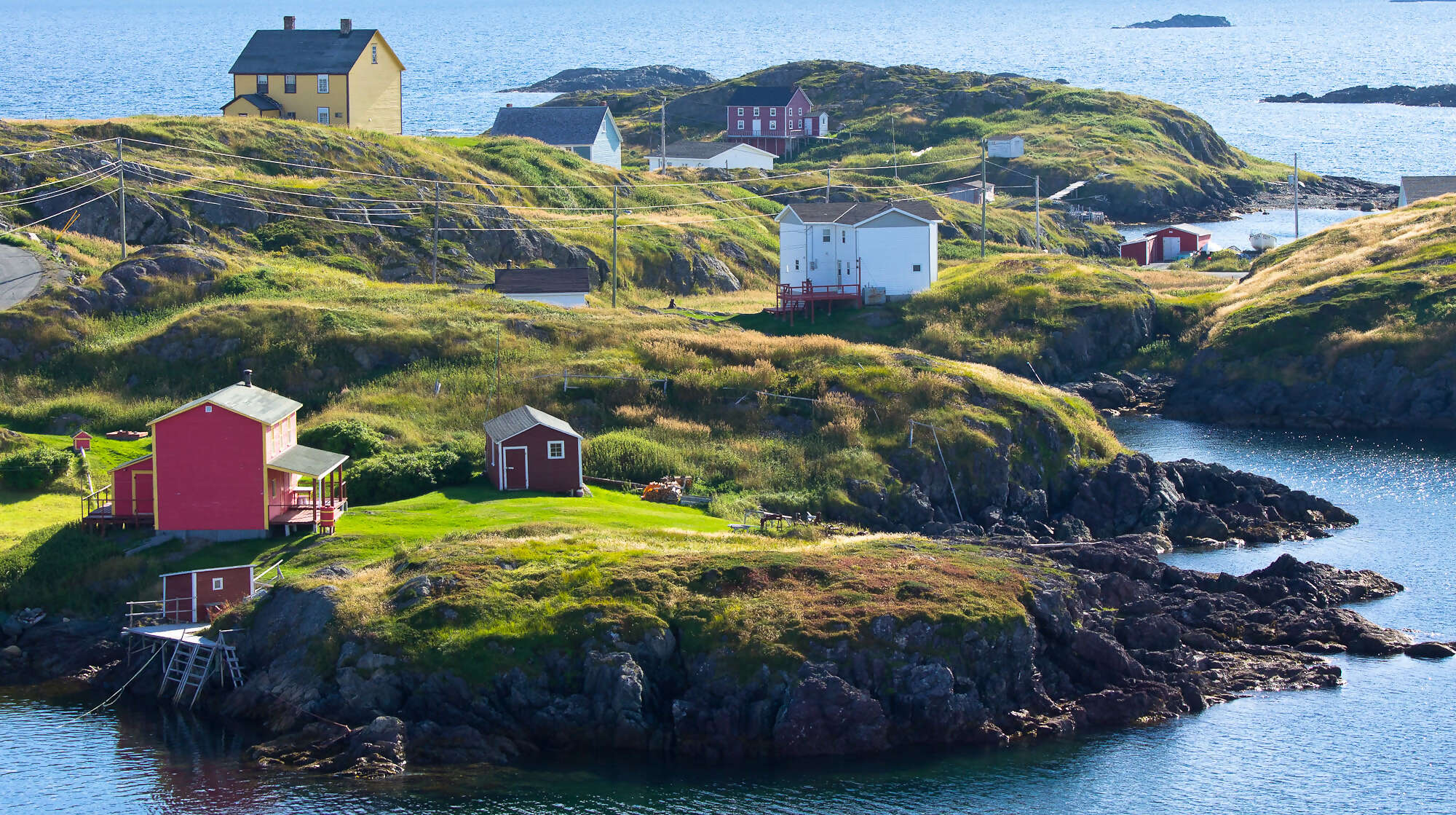 Explore Newfoundland & Labrador with Trafalgar & TravelOnly with Marcy!