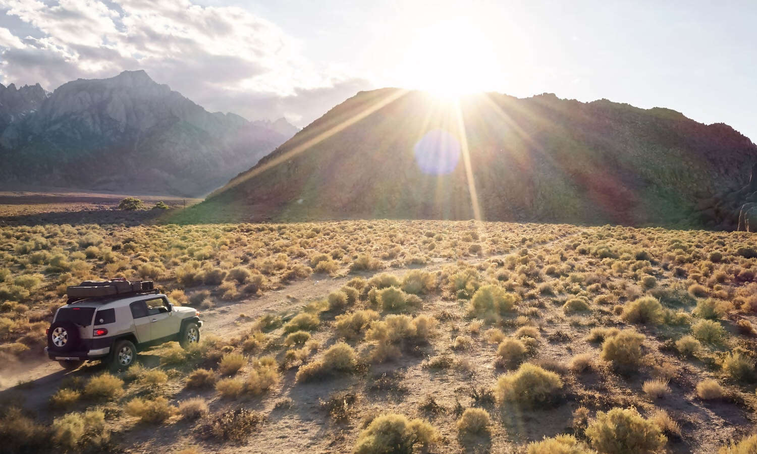 Discover Beauty in Your Own Backyard