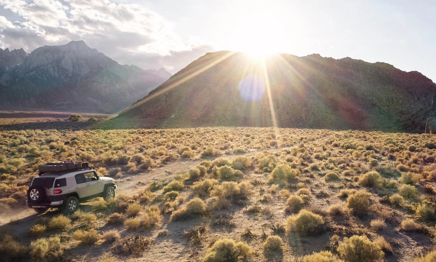 Discover Beauty in Your Own Backyard