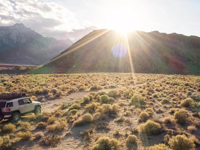 Discover Beauty in Your Own Backyard
