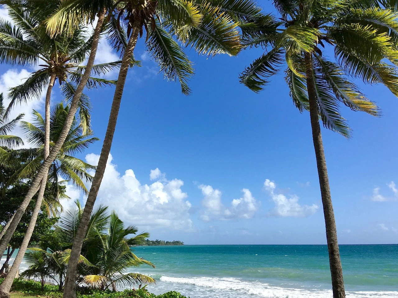 Martinique, A little piece of heaven in the Caribbean
