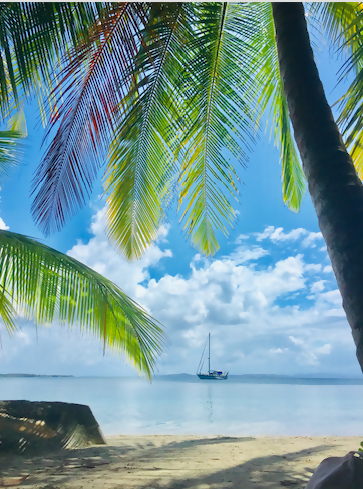 What To Do In Bocas Del Toro