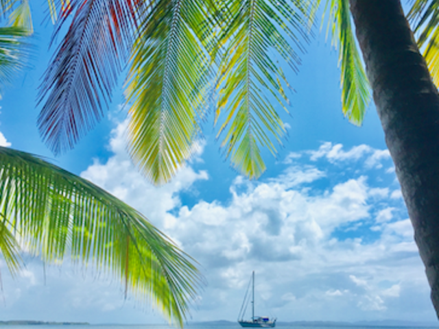 What To Do In Bocas Del Toro