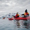Arctic