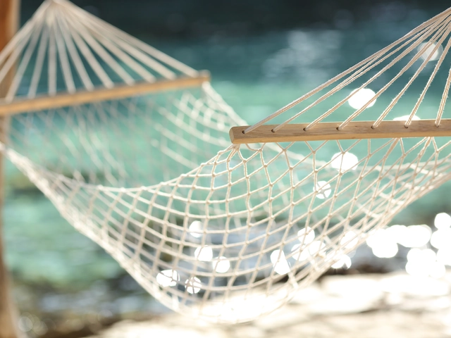 Banner 2 - Hammock