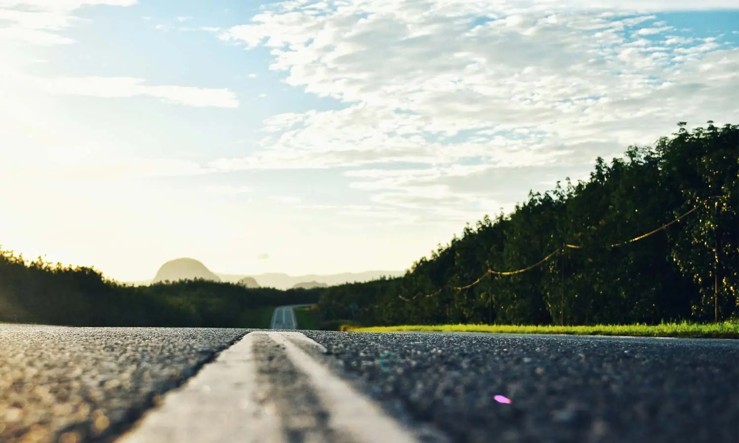 Best Road Trips in Canada