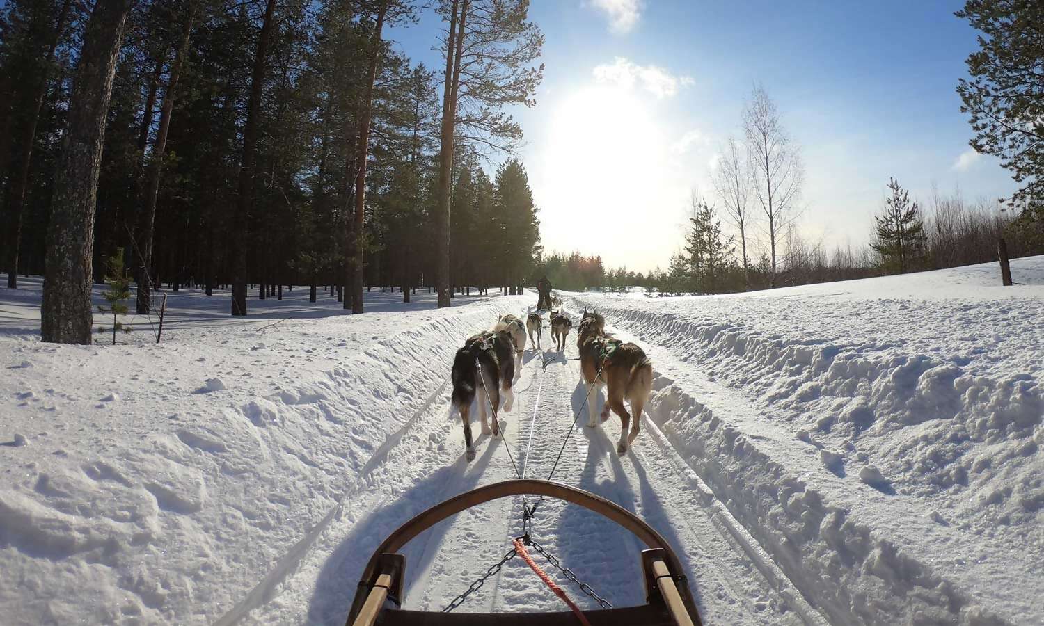 Top 3 Canadian Destinations for a Winter Vacation