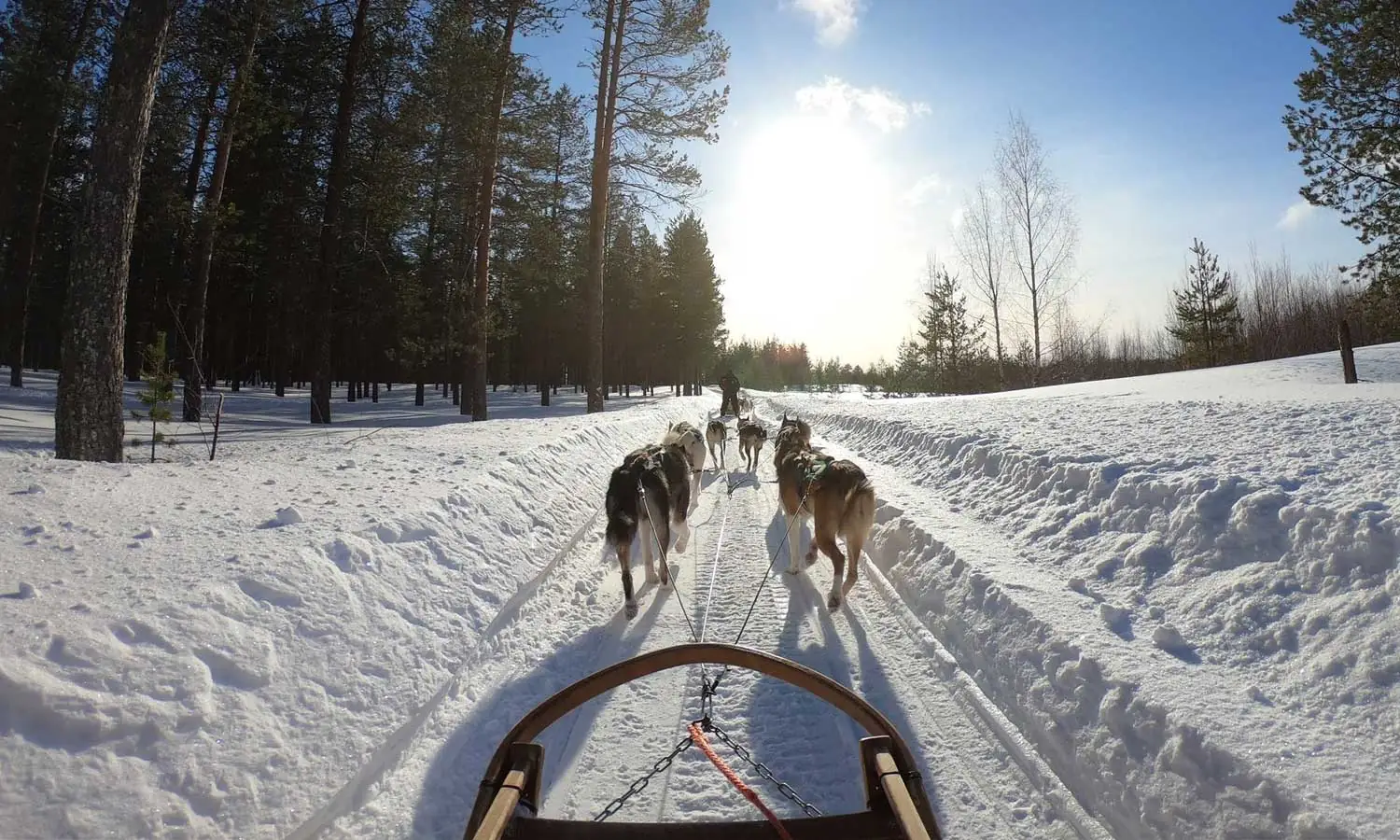 Top 3 Canadian Destinations for a Winter Vacation