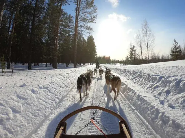 Top 3 Canadian Destinations for a Winter Vacation